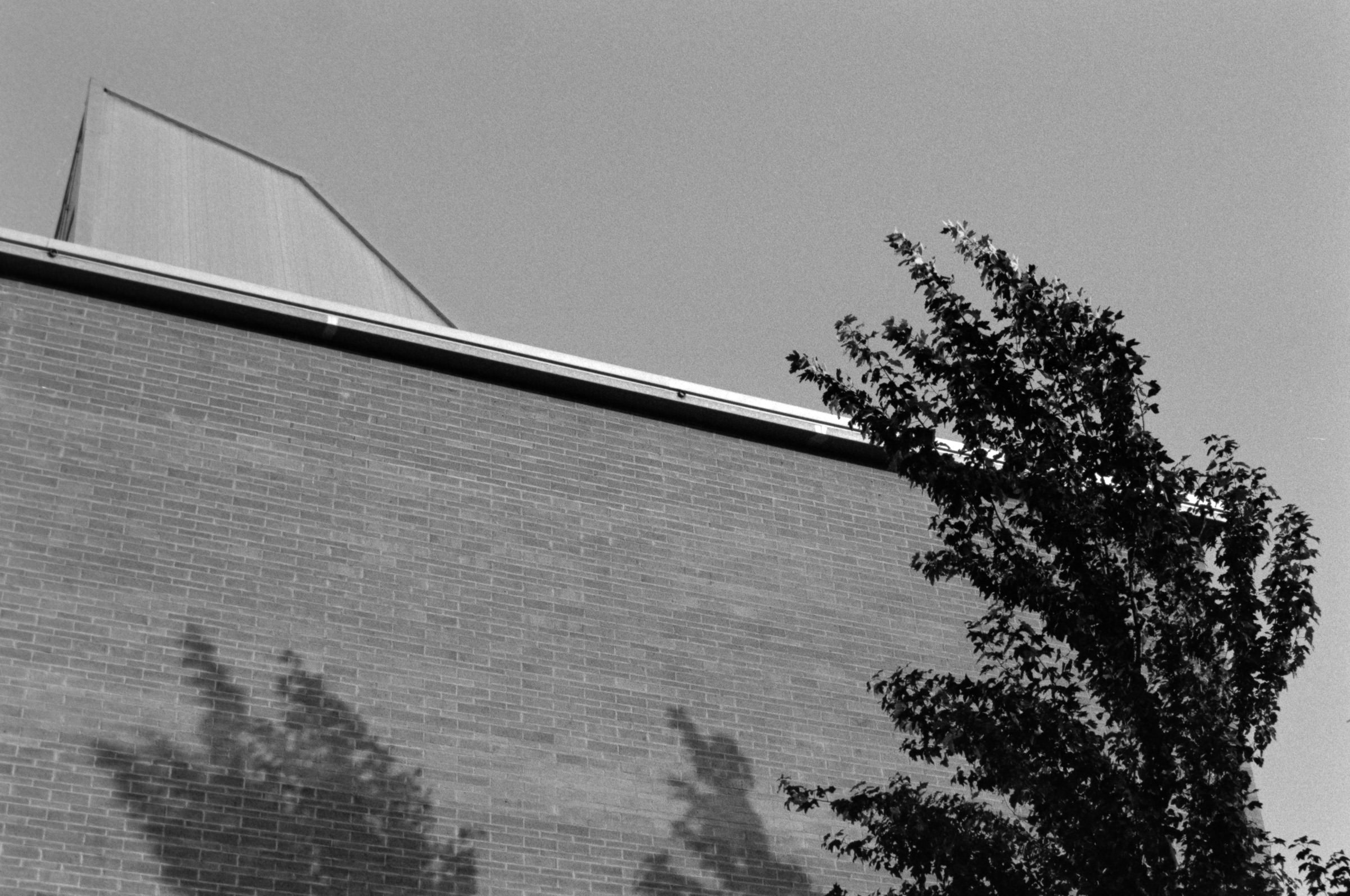 AHP F1995 10 003 sc240815 img31 NLP